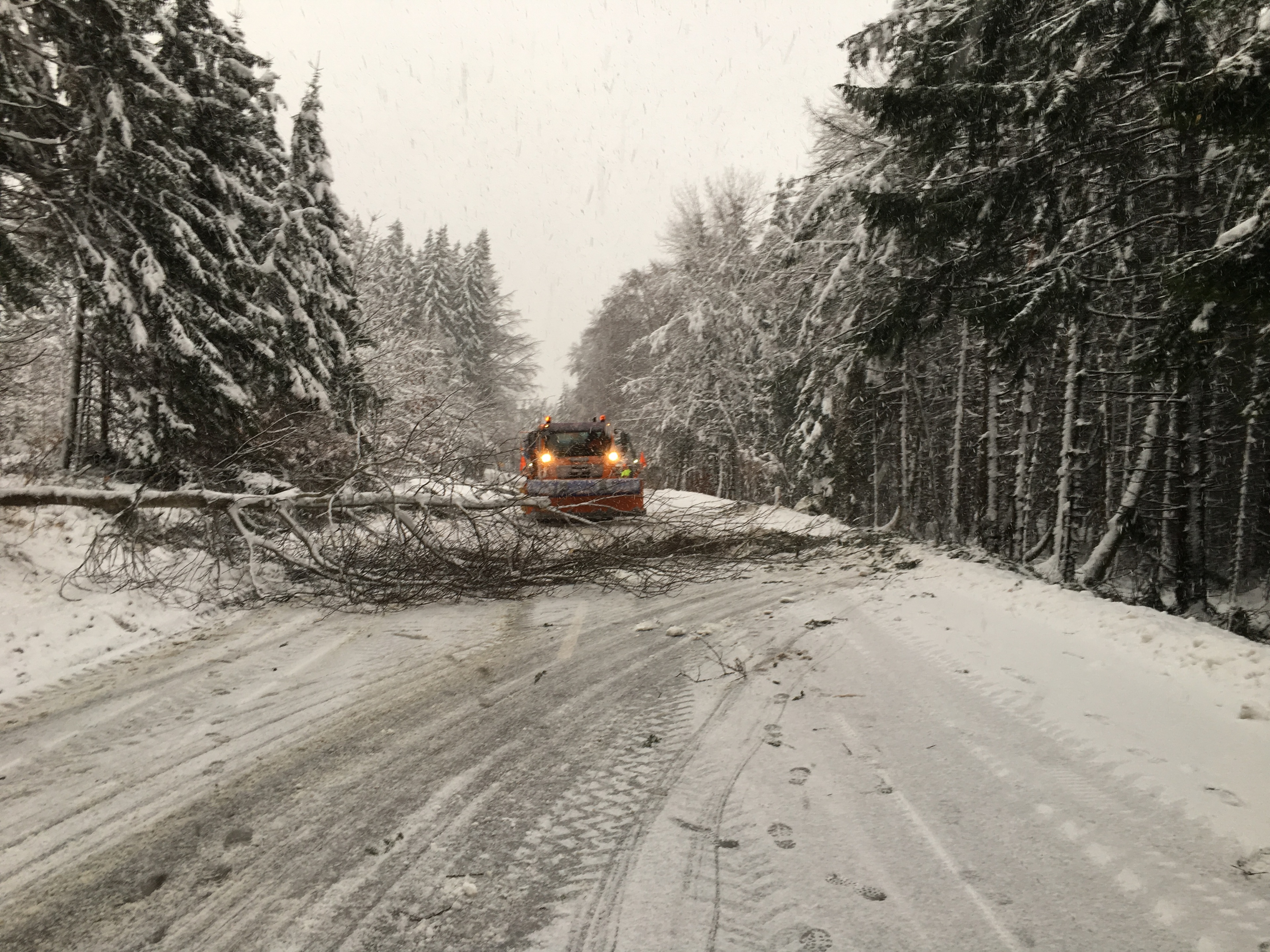 gesperrte Strassen und umgeknickte Bäume wegen starken Schneefällen, Foto: Straßenbauamt Weilheim