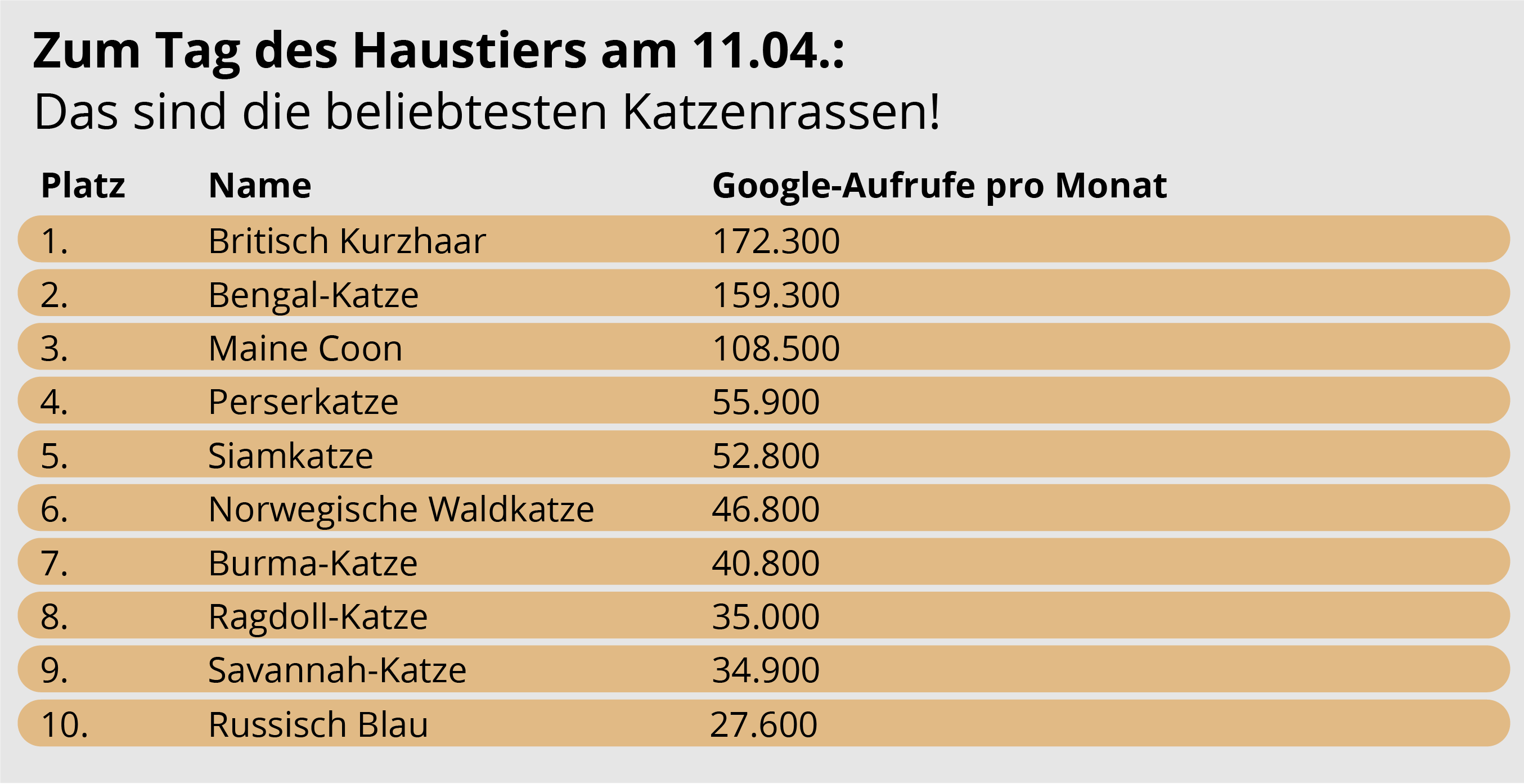 Top-10 der beliebtesten Katzenarten